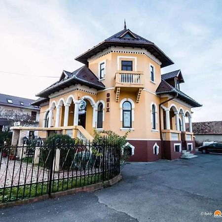 Pensiunea Onix Făgăraş Exterior foto