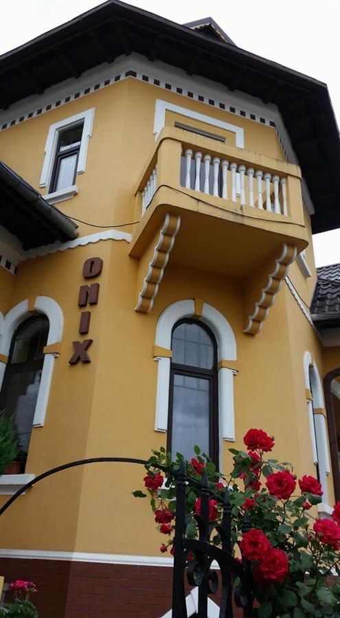 Pensiunea Onix Făgăraş Exterior foto