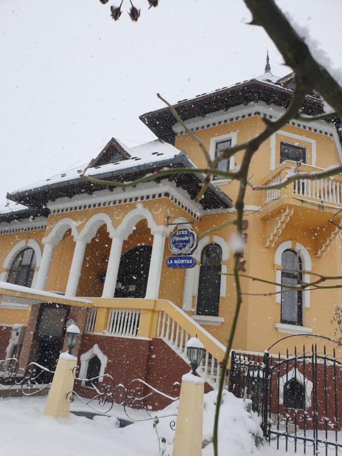 Pensiunea Onix Făgăraş Exterior foto