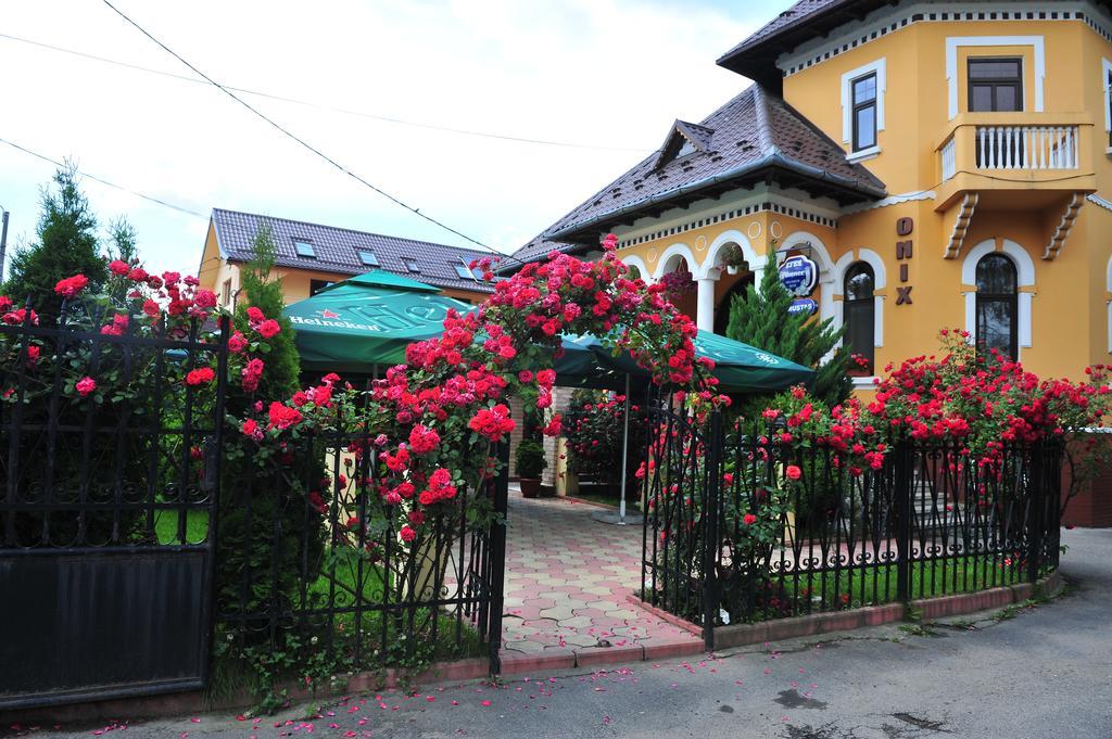 Pensiunea Onix Făgăraş Exterior foto