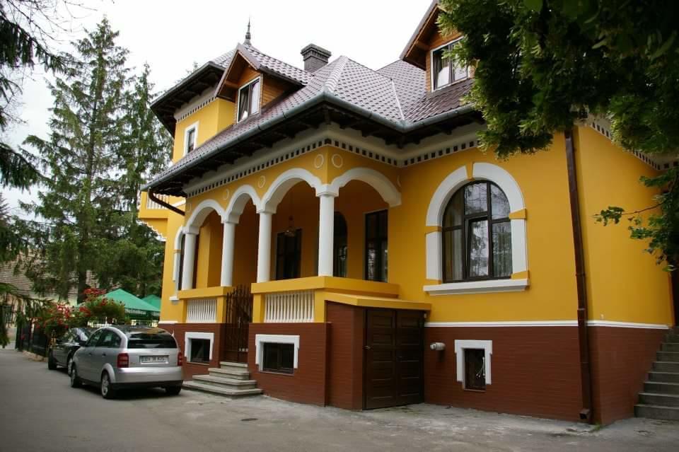 Pensiunea Onix Făgăraş Exterior foto