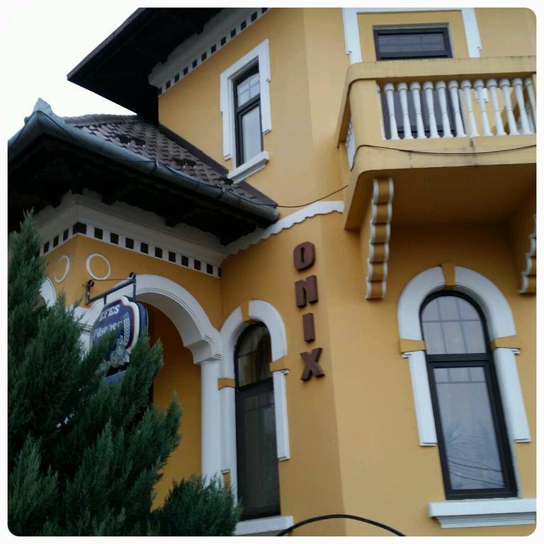 Pensiunea Onix Făgăraş Exterior foto