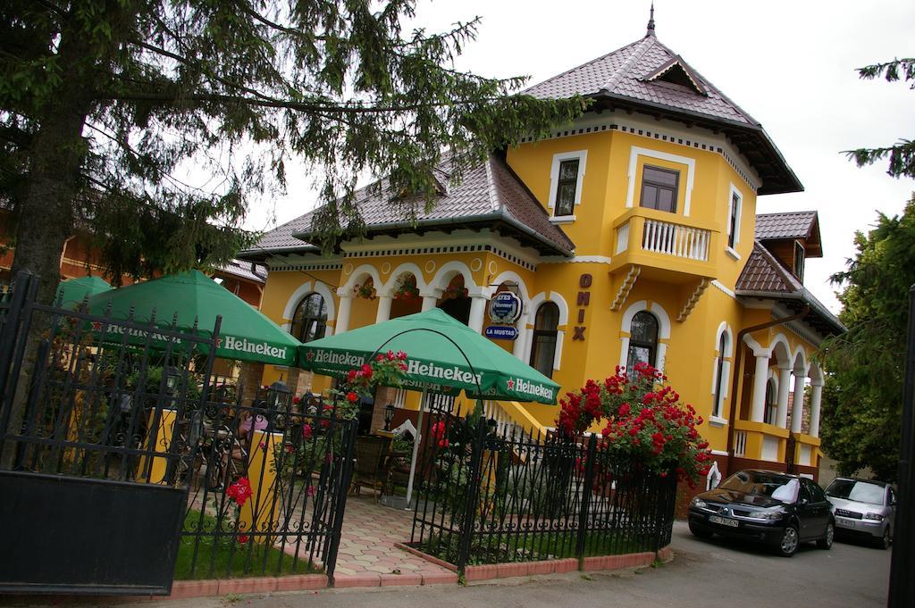 Pensiunea Onix Făgăraş Exterior foto