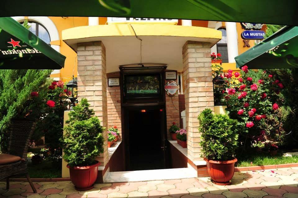 Pensiunea Onix Făgăraş Exterior foto
