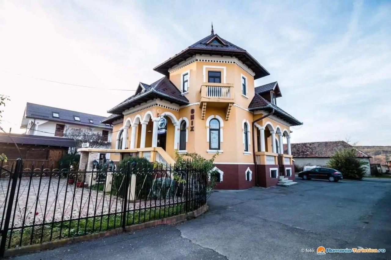 Pensiunea Onix Făgăraş Exterior foto