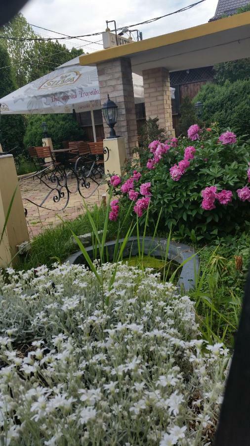 Pensiunea Onix Făgăraş Exterior foto
