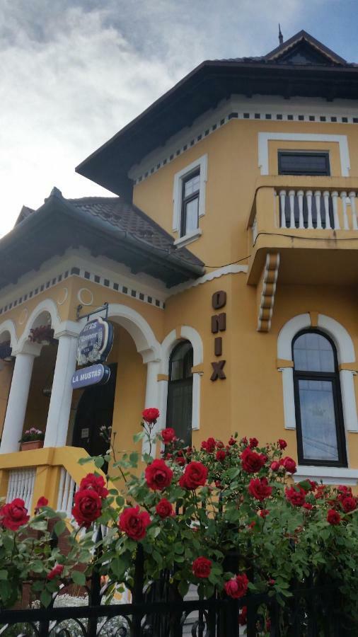 Pensiunea Onix Făgăraş Exterior foto
